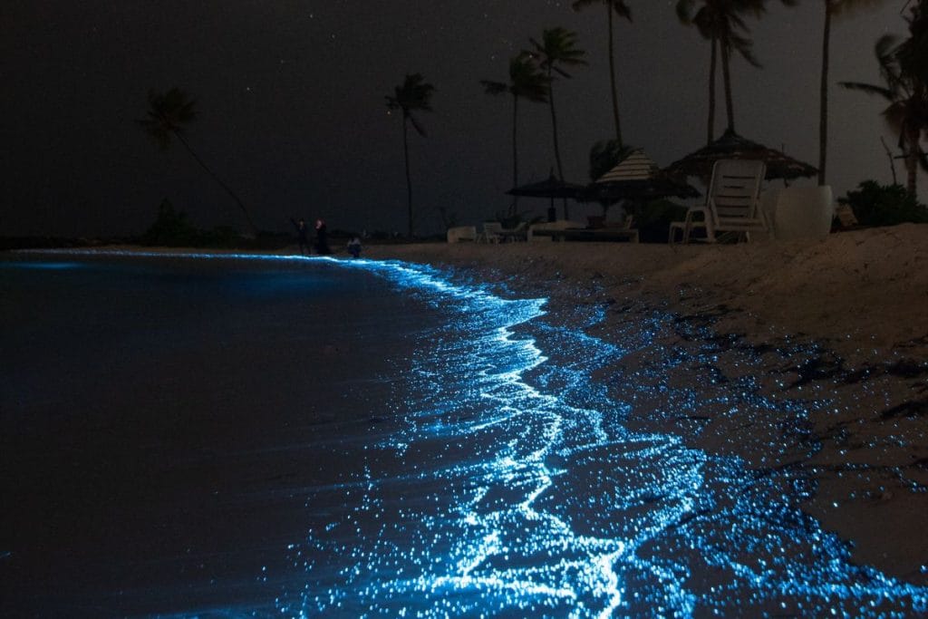 Things That Are Blue