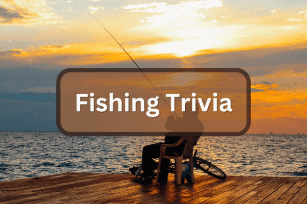 Fishing Trivia: 7 Surprising Facts You’ll Love Sharing on Your Next Trip An angler fishing in a calm lake with trivia facts floating in the background.